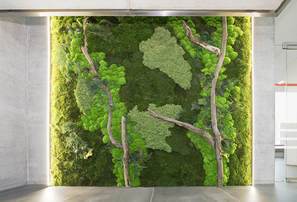 Große Mooswand mit verschiedenen Moosarten und dekorativen Ästen in moderner Innenarchitektur, indirekt beleuchtet