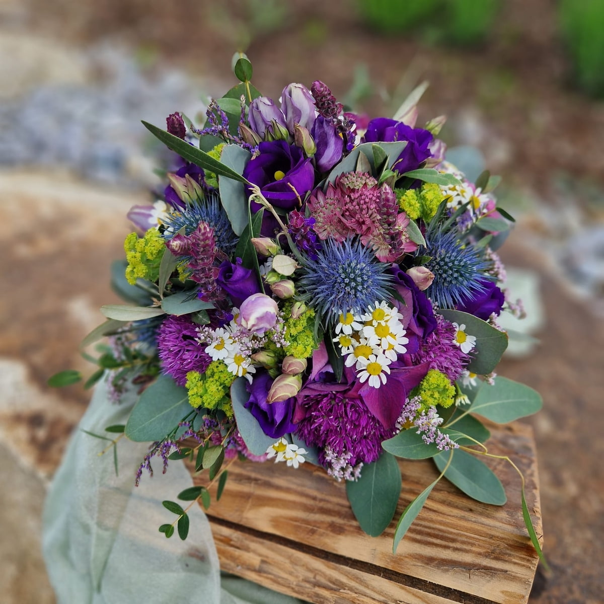 Violette Blumen in Nahaufnahme, unscharfer grüner Hintergrund