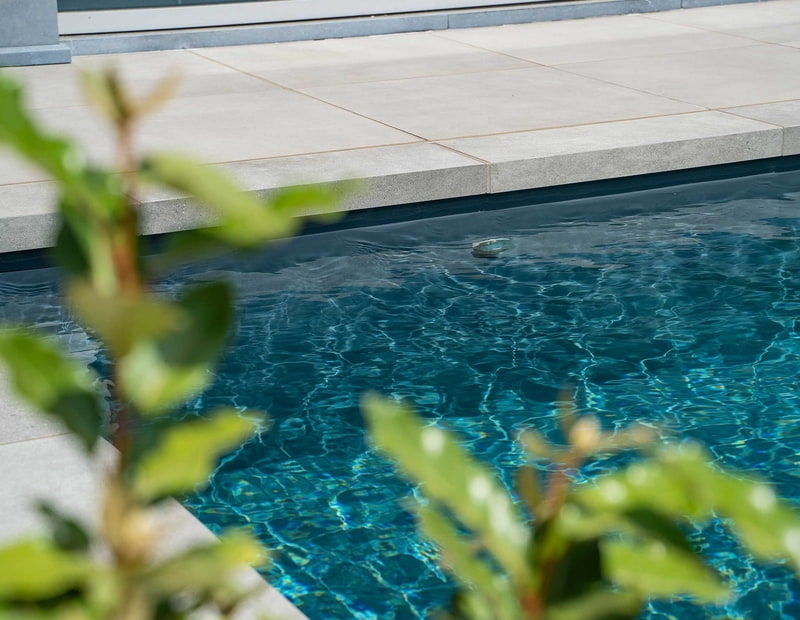 Naturpool-Living-Pool