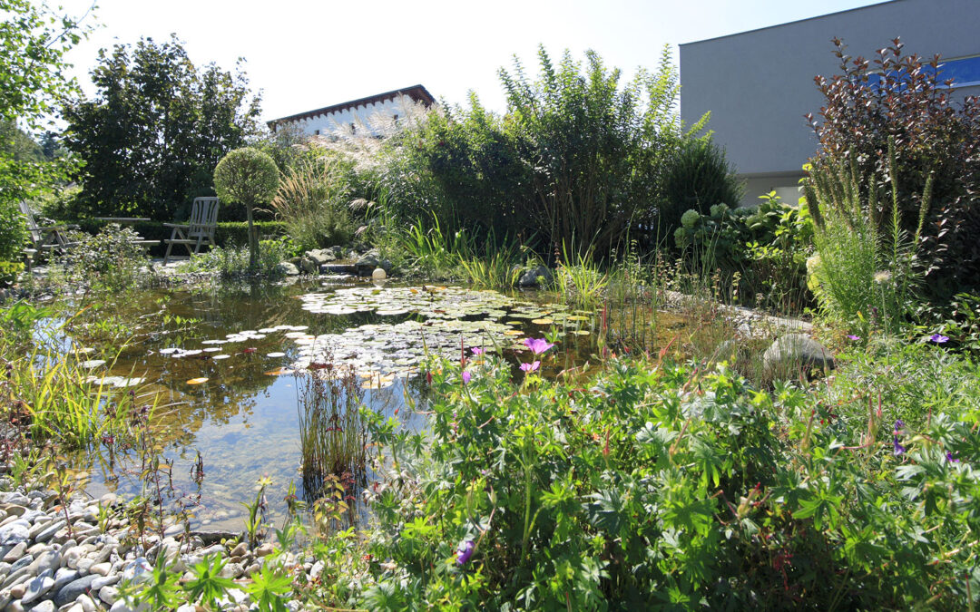 März im Garten