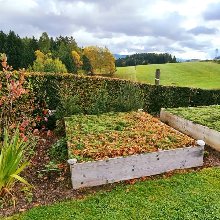 mit Laub zugedecktes Hochbeet