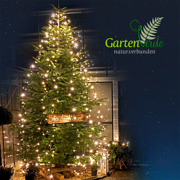 beleuchteter Christbaum vor der Gartenwelt von GartenVerde umgeben vom Sternenhimmel