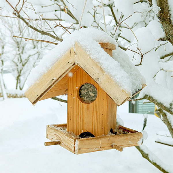 Vogelhaus im Winter von Schnee bedeckt gefüllt mit Sonnenblumenkernen