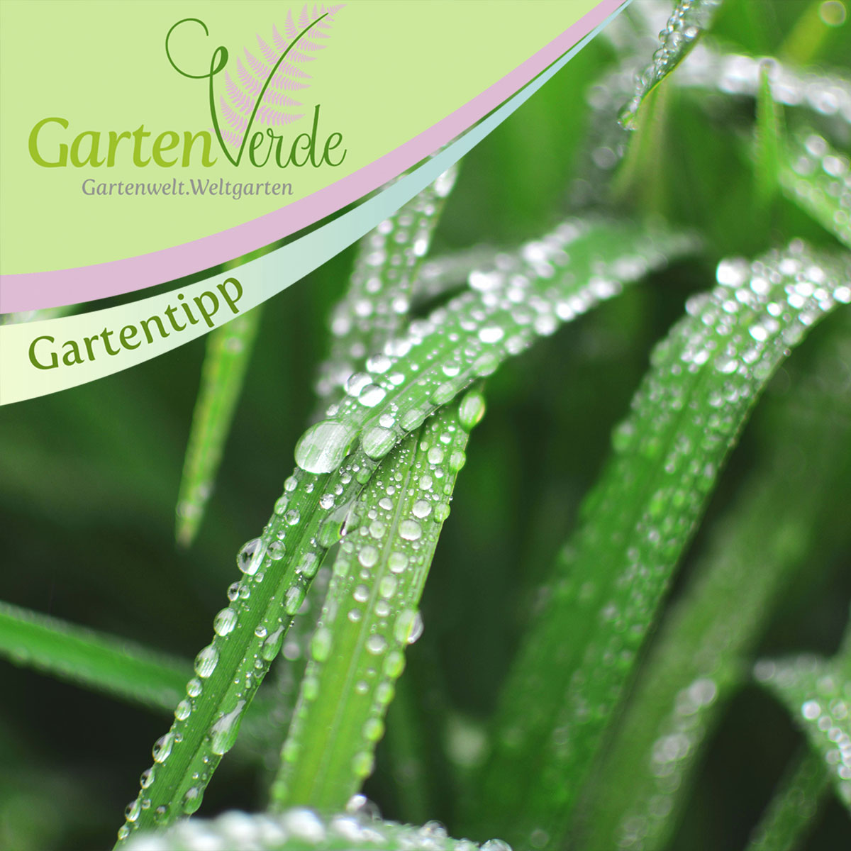 Gartenpflege bei nasser Witterung