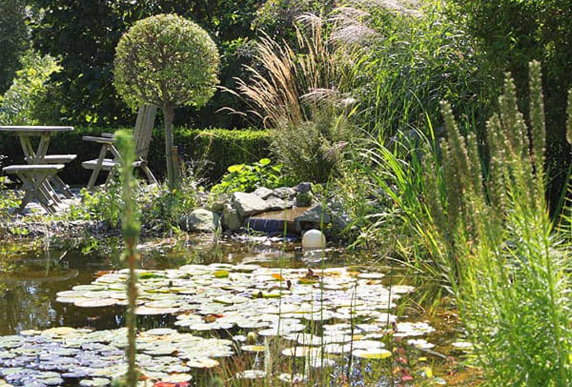Biotop-im-Garten