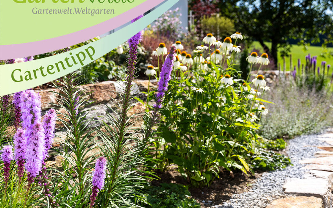 Gartenarbeiten im Frühling
