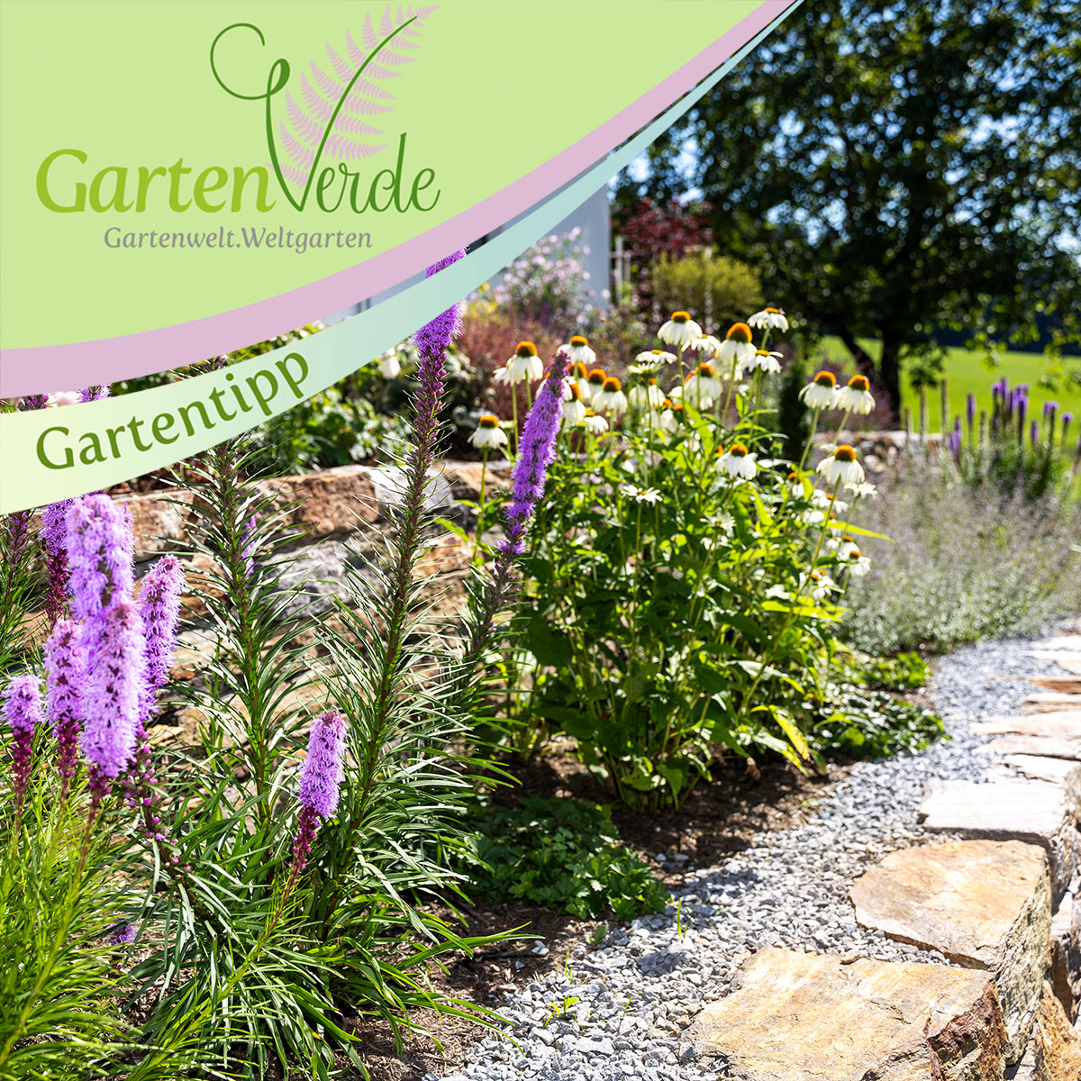 gartenarbeiten-im-frühling