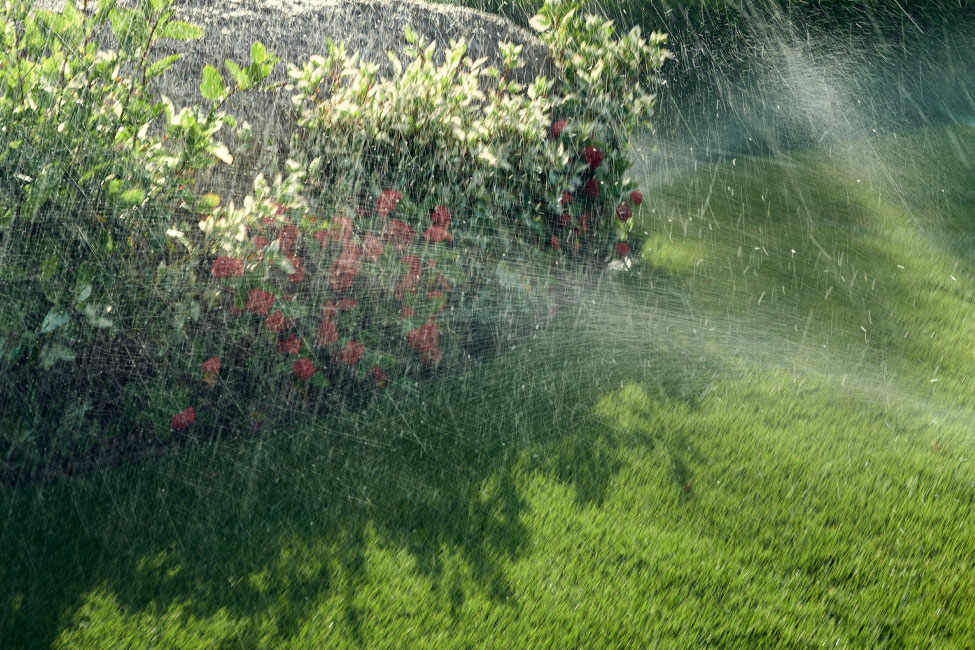 automatische Gartenbewässerung